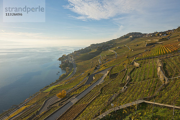 Lavaux  Weinregion am Genfersee im Herbst