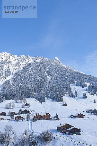 L'Étivaz im Winter in den Waadtländer Alpen