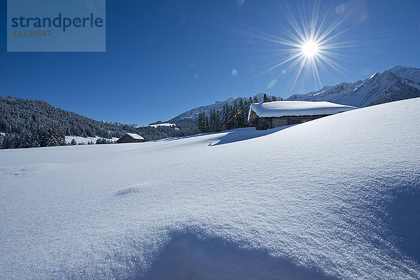 Col des Mosses im Winter in den Waadtländer Alpen