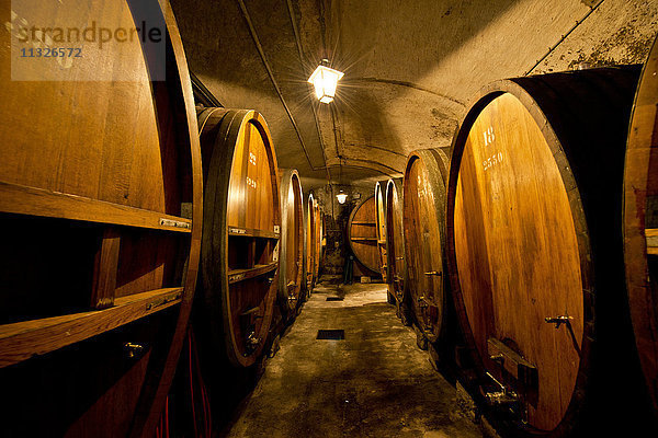 Weinkeller mit Fässern in Vevey