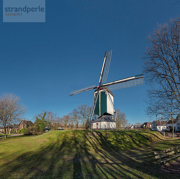 Windmühle in Rosmalen  NL