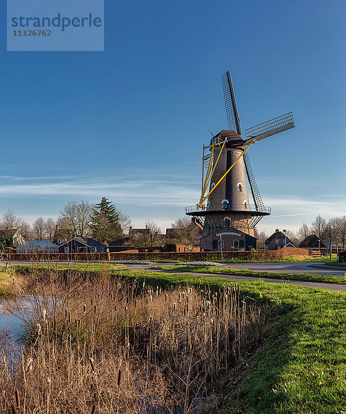 Windmühle Kerkhovense molen in Oisterwijk  NL