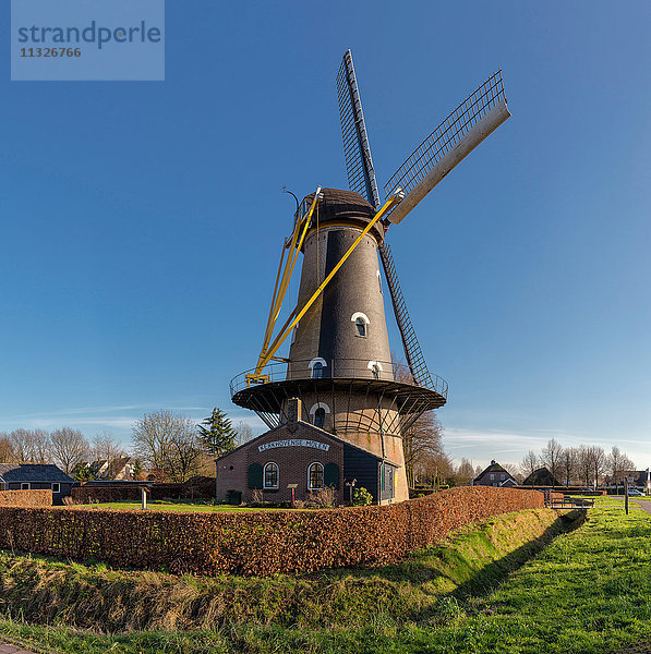 Windmühle Kerkhovense molen in Oisterwijk  NL