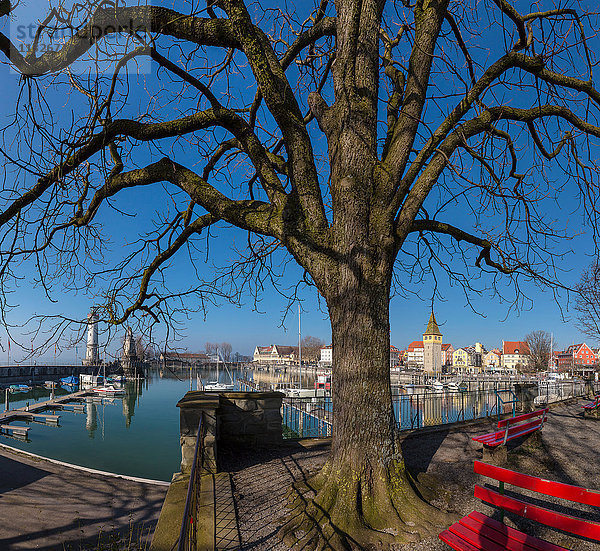 Lindauer Hafen am Bodensee