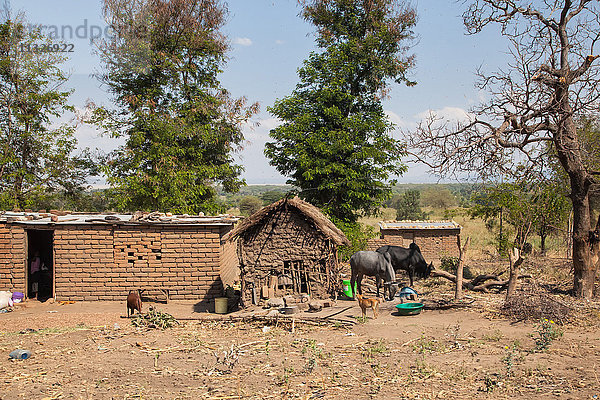 lokale Bevölkerung in Tansania