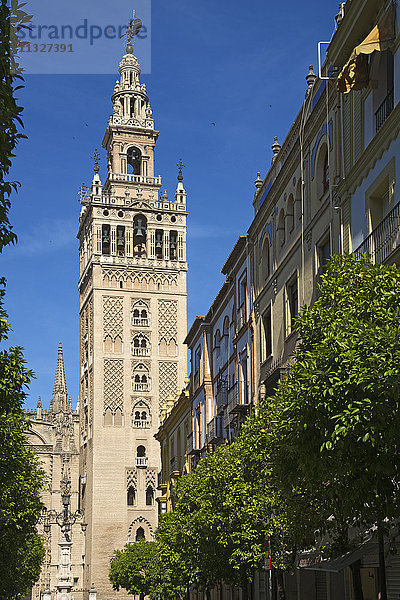 Kathedrale in Sevilla  Andalusien