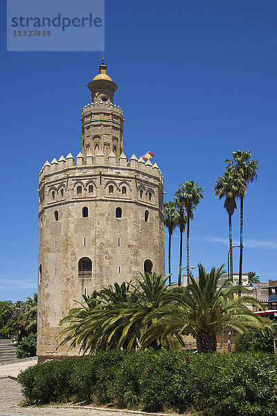 Torre del Orso in Sevilla  Andalusien