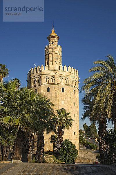 Torre del Orso in Sevilla  Andalusien