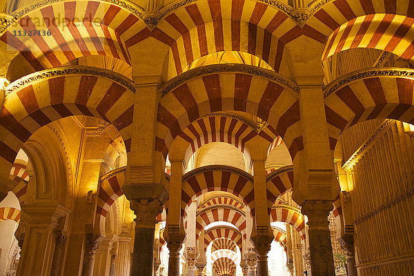 Mezquita de Cordoba innen in Cordoba  Andalusien