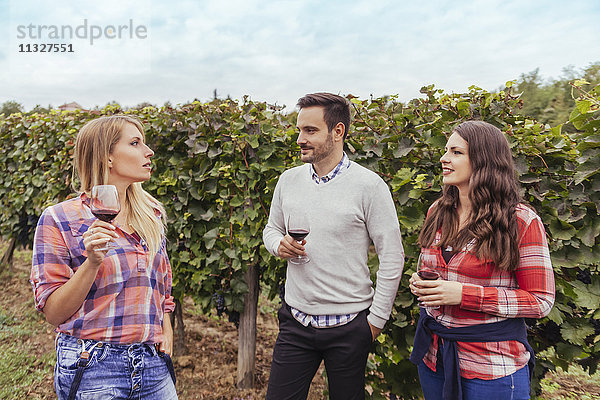 Freunde in einem Weinberg mit Gläsern Rotwein