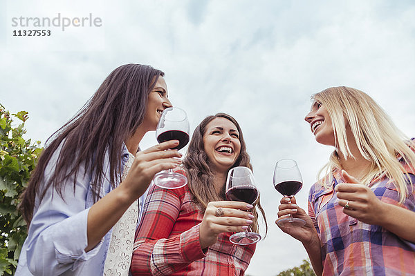 Drei glückliche junge Frauen in einem Weinberg mit Gläsern Rotwein