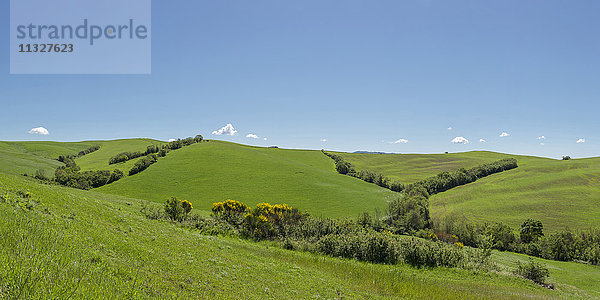 Hügel im Val di Paglia in der Toskana