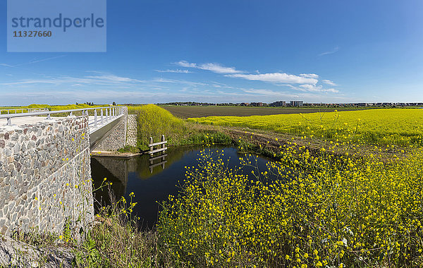 Landschaft in Zeewolde  Flevoland