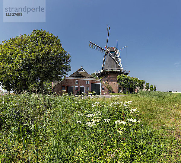 Windmühle in Garsthuizen  Groningen