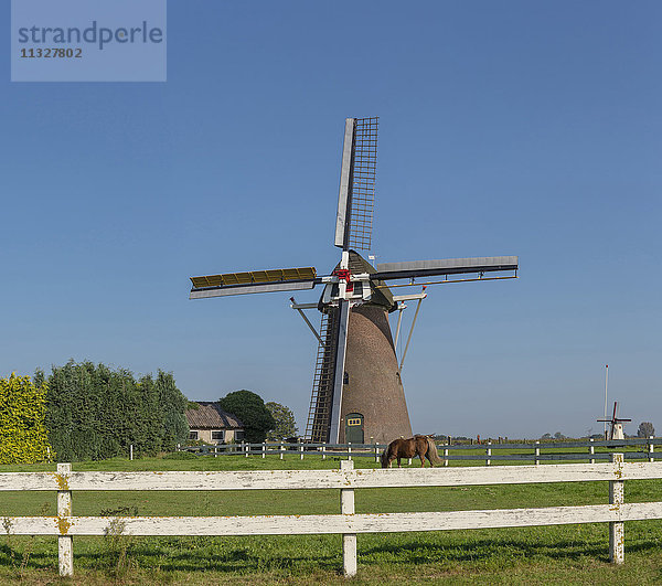 Windmühle in Nieuw-Wehl  Gelderland