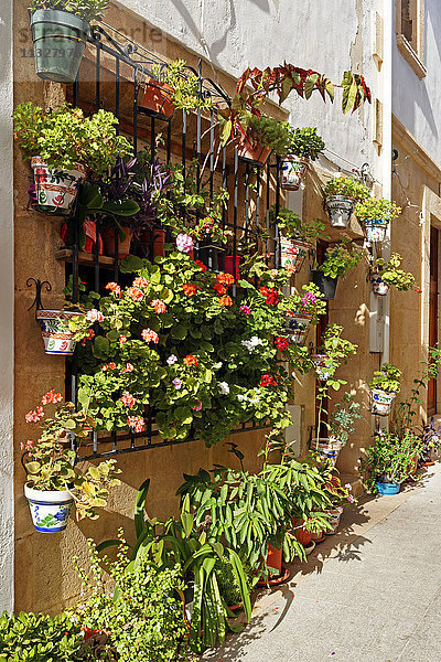Gasse mit Blumenschmuck in Xabia  Alicante
