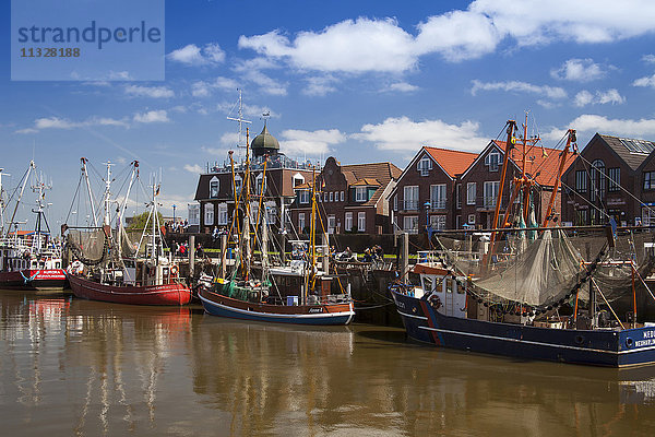 Krabbenkutter im Hafen von Neuharlingersiel  Ostfriesland  Niedersachsen