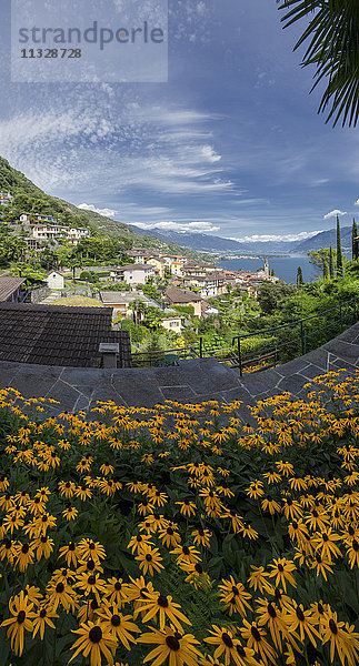 Ronco sopra Ascona mit Lago Maggiore See im Tessin