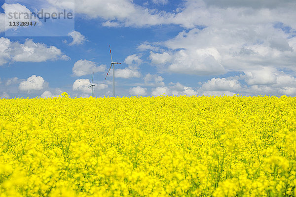 Windkraftanlage und Rapsfeld in Baden-Württemberg