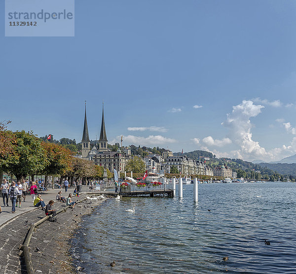 Seeufer und Vierwaldstättersee in Luzern  Schweiz