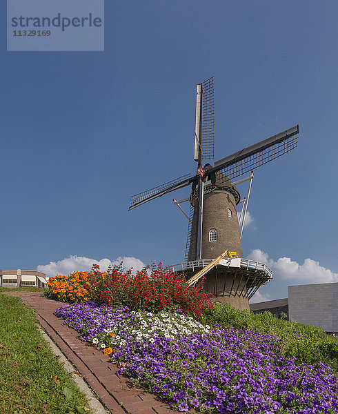 Windmühle in Doetinchem  Gelderland