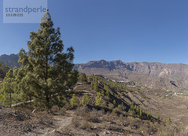 San Bartolome de Tirajana auf Gran Canaria  Kanarische Inseln