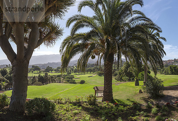 Golfplatz in Telde  Gran Canaria  Kanarische Inseln
