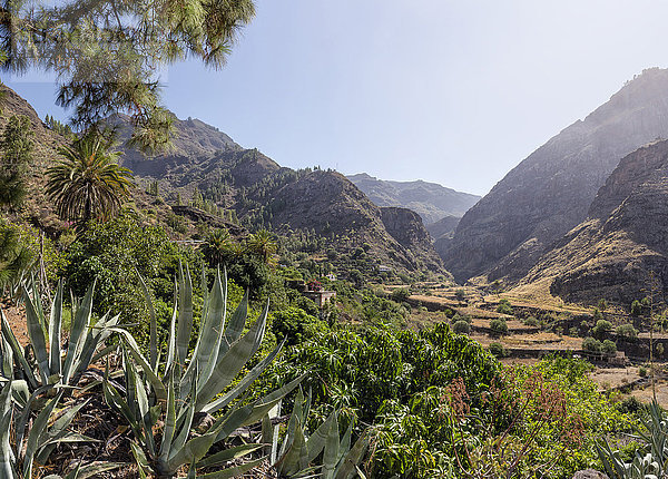 Barranco de Agaete-Tal auf Gran Canaria  Kanarische Inseln