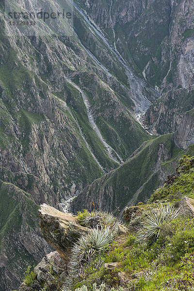 Colca-Schlucht in Peru