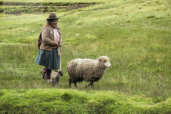 Einheimische Frau und Schafe in Peru