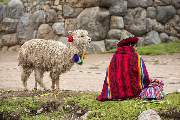 Eingeborene Frau mit Lama in Peru