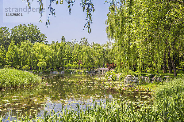 Der Sommerpalast-Park in Peking