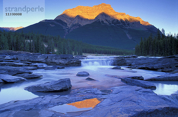 Athabasca-Wasserfälle im Jasper-Nationalpark  Alberta  Kanada