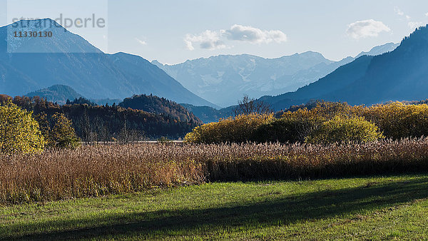 Murnauer Moos in Bayern