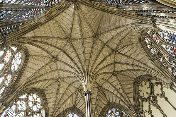 England  London  Westminster Abbey  Die Decke des Kapitelsaals