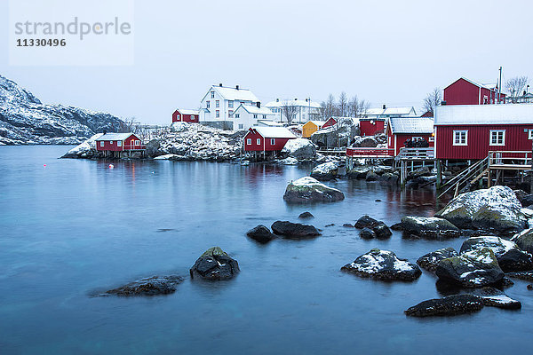 Rorbur im Winter auf den Lofoten  Norwegen