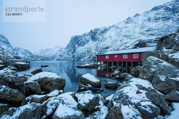 Rorbur im Winter auf den Lofoten  Norwegen