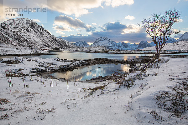 Landschaft im Winter auf den Lofoten  Norwegen