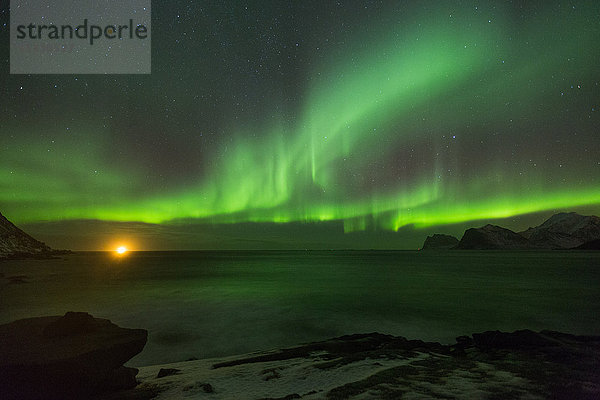 Polarlicht auf den Lofoten  Norwegen