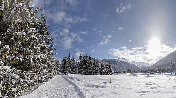 Landschaft bei Davos im Winter  Graubünden  Schweiz