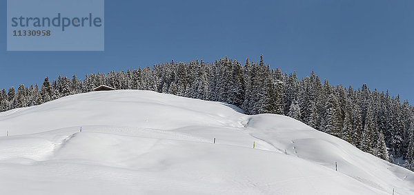 Sertigtal-Landschaft bei Davos im Winter  Graubünden  Schweiz