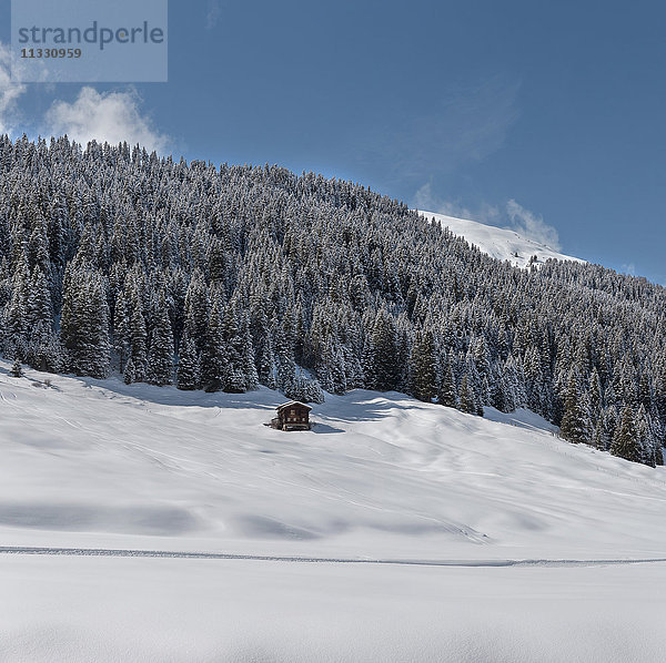 Sertigtal-Landschaft bei Davos im Winter  Graubünden  Schweiz