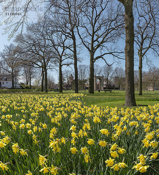 Park in Breda  Holland