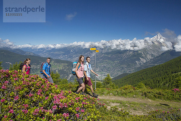 Gruppenwanderung bei Gibidum im Wallis