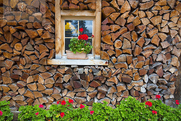 Fenster mit Blumendekoration im Engadin  Graubünden