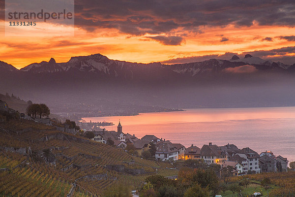 Das Dorf Rivaz am Genfer See im Herbst