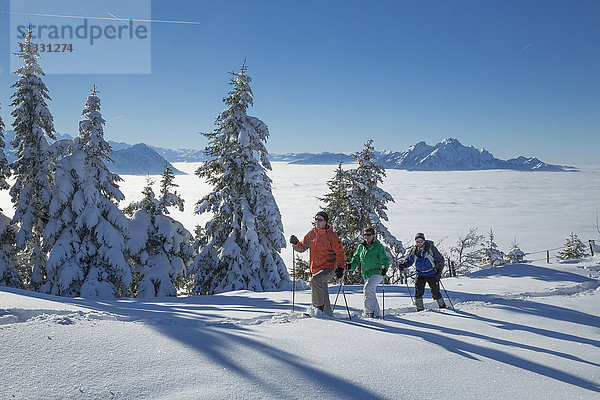 Gruppe bei einer Schneeschuhtour auf der Rigi im Winter in der Zentralschweiz