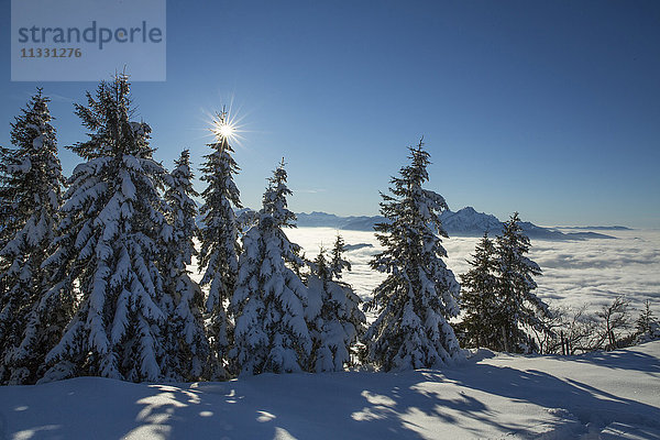 Blick von der Rigi im Winter in Richtung Pilatus in der Zentralschweiz