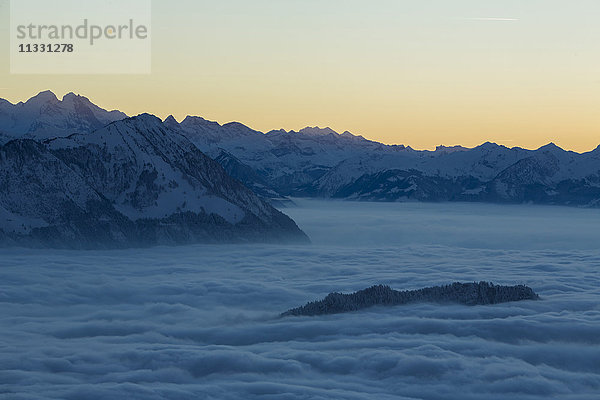 Bürgenstock-Berg im Nebelmeer  in der Zentralschweiz