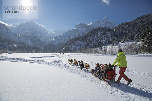 Hundeschlitten bei Lauenen  Schweiz